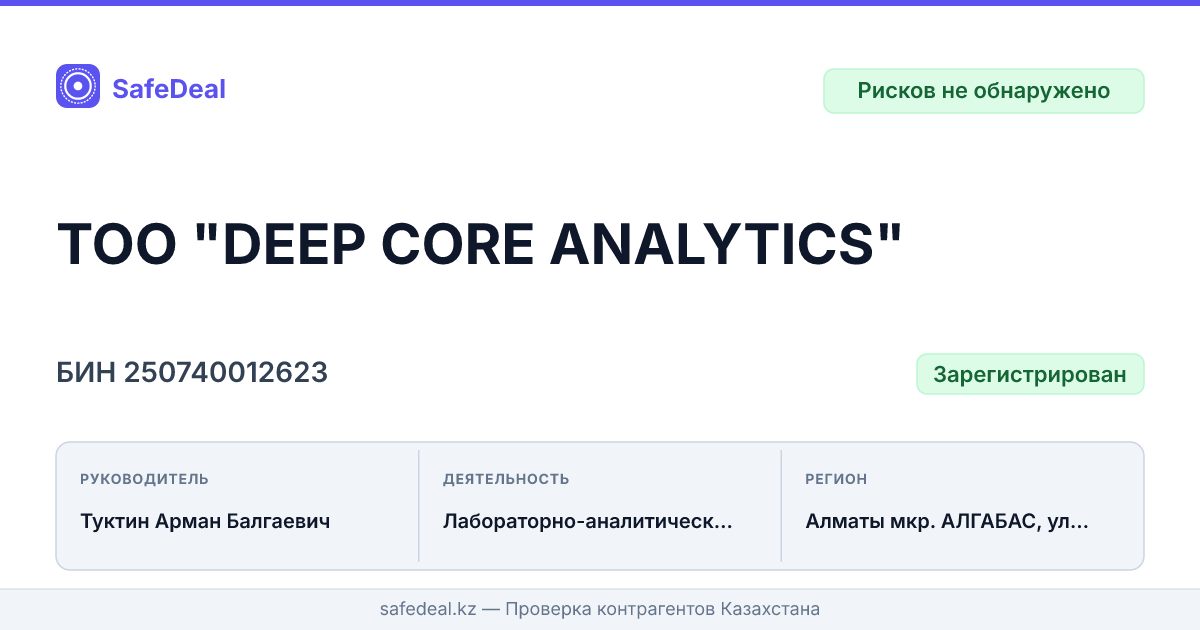 ТОО "DEEP CORE ANALYTICS", БИН 250740012623 — проверка, риски, закупки ...